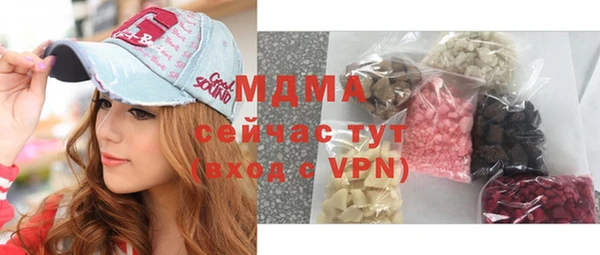 индика Краснотурьинск