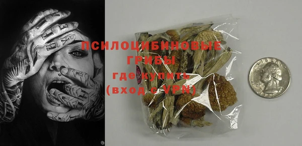 индика Краснотурьинск