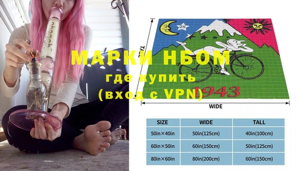 индика Краснотурьинск