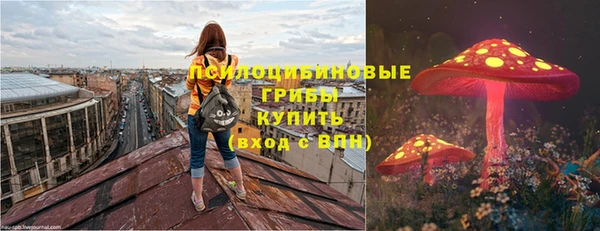 COCAINE Краснослободск