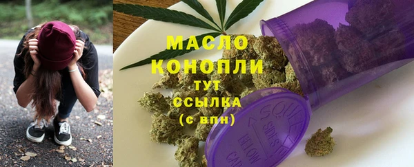 индика Краснотурьинск